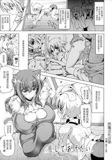 Bakebare! ch.7, 中文