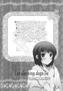 Let sleeping dogs lie, English