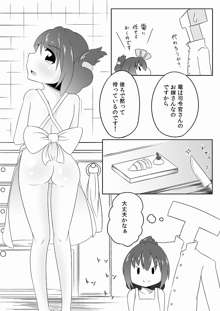 電は新妻！なのです。, 日本語