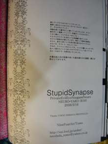 SutupidSynapse, 日本語