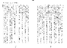 嫁姉ッ！ お姉ちゃんの愛情は無限大！弟とだったら子作りもOK！, 日本語