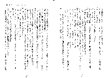 嫁姉ッ！ お姉ちゃんの愛情は無限大！弟とだったら子作りもOK！, 日本語