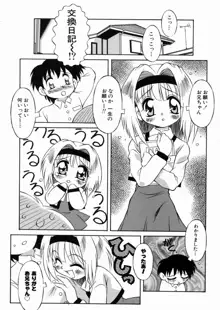 ロリっ娘の秘密, 日本語