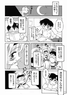 ロリっ娘の秘密, 日本語