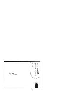 これはまほうだ, 日本語