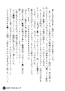 花嫁調教 恥辱の披露宴, 日本語