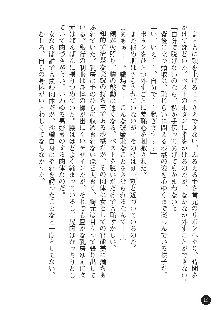 花嫁調教 恥辱の披露宴, 日本語