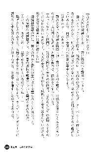 花嫁調教 恥辱の披露宴, 日本語