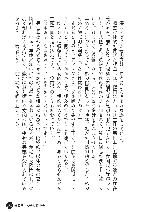 花嫁調教 恥辱の披露宴, 日本語