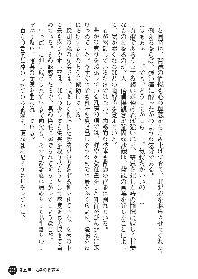 花嫁調教 恥辱の披露宴, 日本語