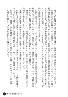 花嫁調教 恥辱の披露宴, 日本語