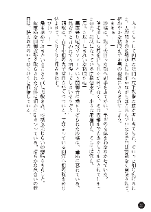 花嫁調教 恥辱の披露宴, 日本語