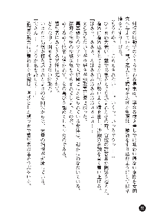 花嫁調教 恥辱の披露宴, 日本語