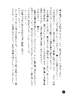 花嫁調教 恥辱の披露宴, 日本語