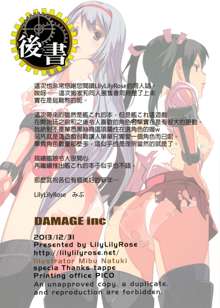 DAMAGEinc, 中文