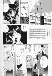 私立蘭丸学園 Private Ranmaru Highschool, 日本語