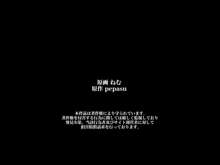 俺は誰にも見えない～存在無視ハーレムCG集, 日本語