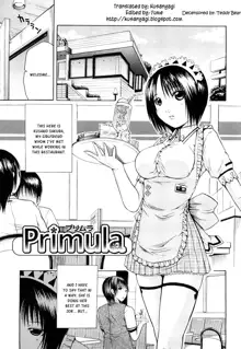 Primula (decensored), English