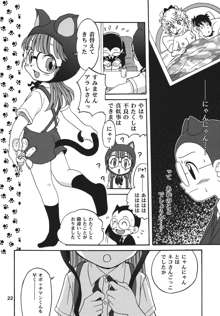 PROJECT ARALE 2, 日本語