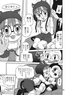 PROJECT ARALE 2, 日本語