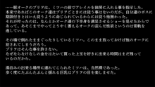 りょーじょくファンタジー企画続けてみますた, 日本語