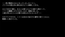 りょーじょくファンタジー企画続けてみますた, 日本語