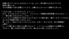 りょーじょくファンタジー企画続けてみますた, 日本語