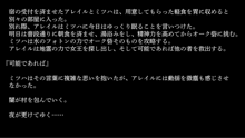 りょーじょくファンタジー企画続けてみますた, 日本語