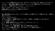 りょーじょくファンタジー企画続けてみますた, 日本語