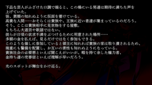 りょーじょくファンタジー企画続けてみますた, 日本語