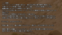 りょーじょくファンタジー企画続けてみますた, 日本語