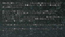 りょーじょくファンタジー企画続けてみますた, 日本語