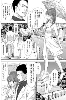 アイドルのお部屋 ch. 1-20, 日本語