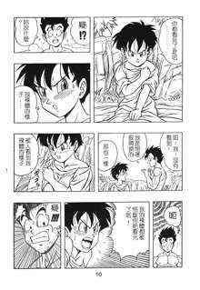 DRAGONBALL H Gohan X Videl, 中文