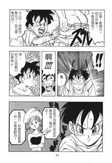 DRAGONBALL H Gohan X Videl, 中文