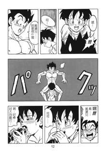 DRAGONBALL H Gohan X Videl, 中文