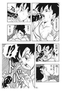 DRAGONBALL H Gohan X Videl, 中文