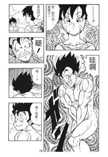 DRAGONBALL H Gohan X Videl, 中文