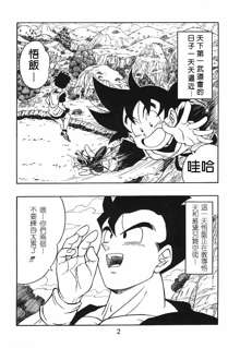 DRAGONBALL H Gohan X Videl, 中文