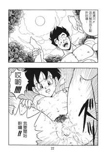 DRAGONBALL H Gohan X Videl, 中文