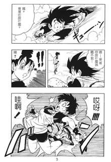 DRAGONBALL H Gohan X Videl, 中文