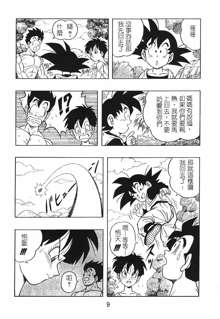 DRAGONBALL H Gohan X Videl, 中文