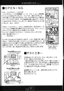 CARNELIAN vol.2  - Re·Leaf 設定資料集, 日本語