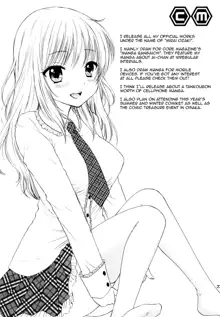 Himitsu 3, English