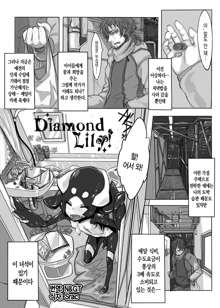 Diamond Lily!, 한국어