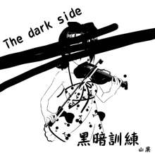 The dark side, 中文