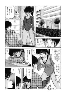 乙女のかけひき, 日本語