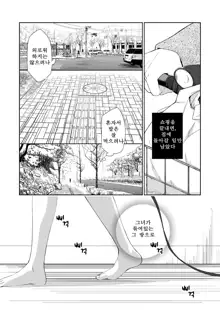 Kanojo no Pet Jinsei, 한국어