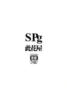 SPg, 中文