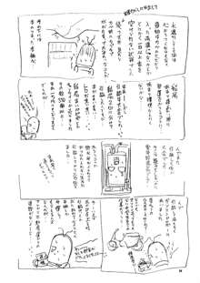 うぃずひな, 日本語